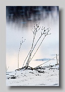 Mississippi Shoreline in February